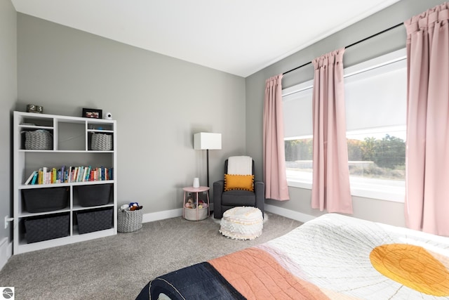 bedroom featuring carpet floors