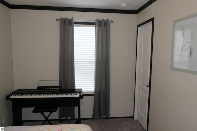 miscellaneous room featuring carpet