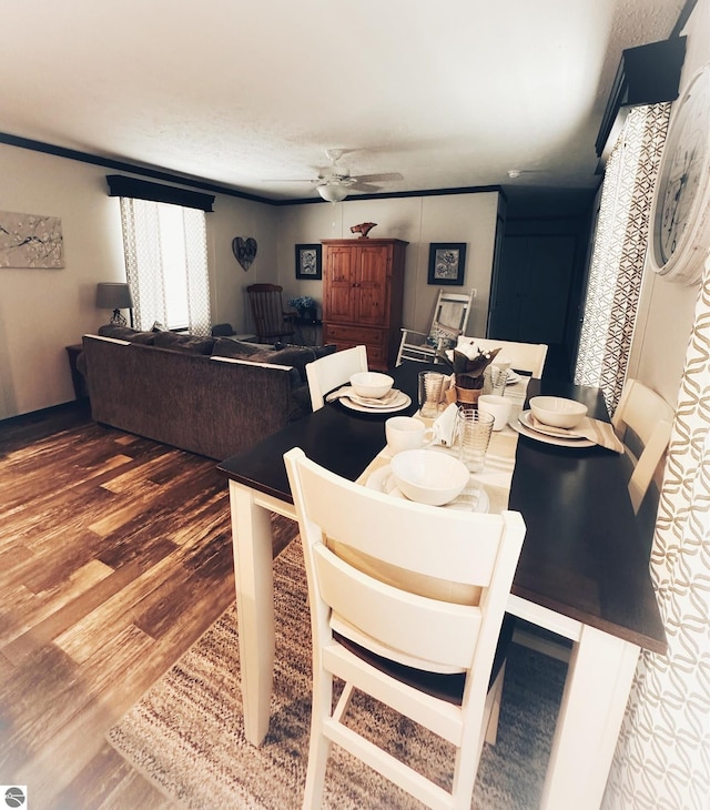 dining space featuring hardwood / wood-style flooring and ceiling fan