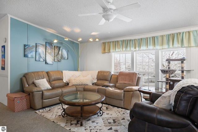 living room featuring ornamental molding, carpet, ceiling fan, and a textured ceiling