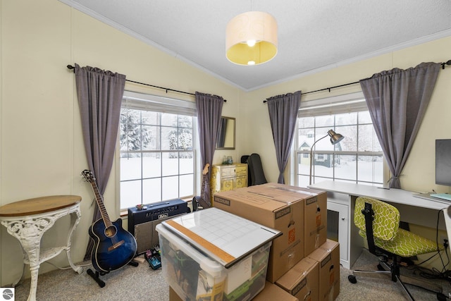 carpeted office space with ornamental molding, vaulted ceiling, and a wealth of natural light