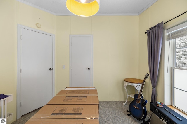 interior space featuring ornamental molding and carpet flooring