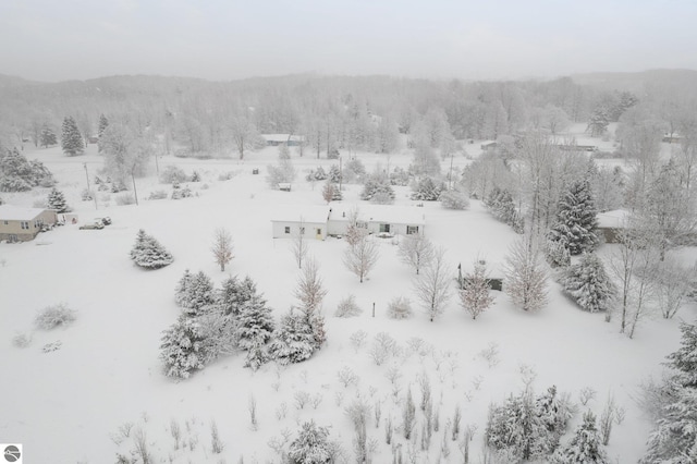 view of snowy aerial view