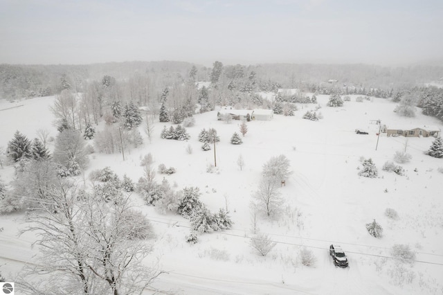 view of snowy aerial view