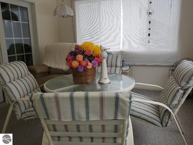 living area with carpet flooring