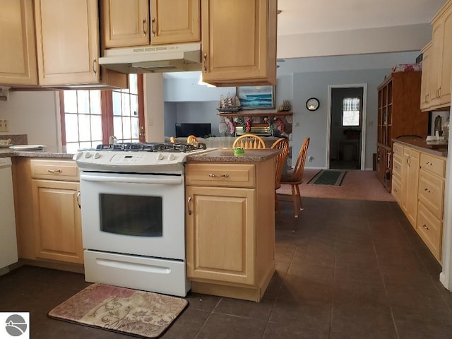 kitchen featuring white appliances, plenty of natural light, kitchen peninsula, and dark tile patterned floors