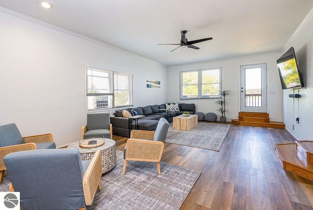 living room with hardwood / wood-style flooring, ceiling fan, and ornamental molding