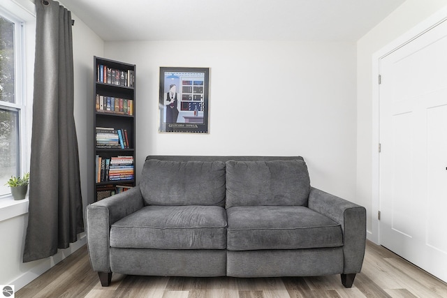 sitting room with wood-type flooring