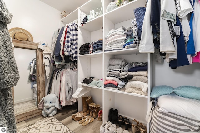 spacious closet with wood-type flooring