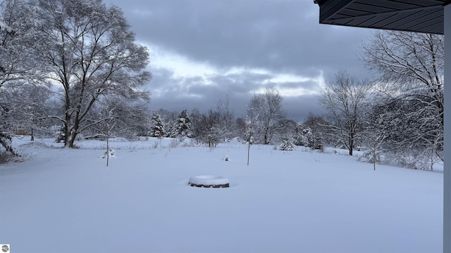 view of snowy yard