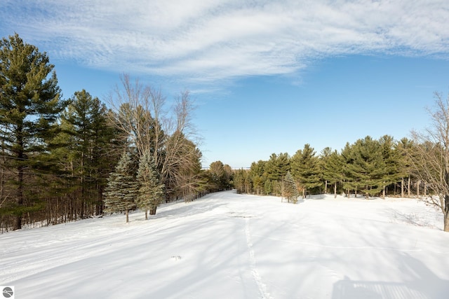 view of yard covered in snow