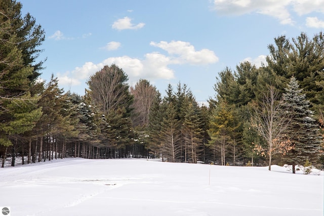 view of yard layered in snow