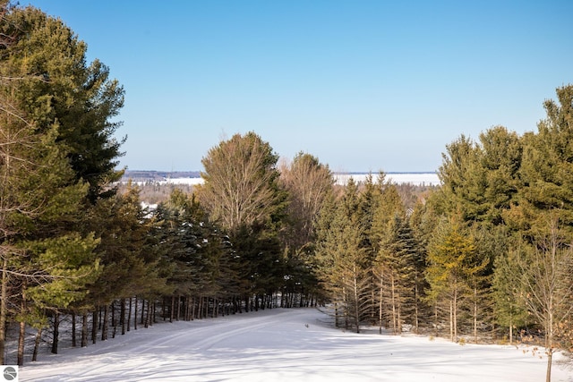 view of local wilderness