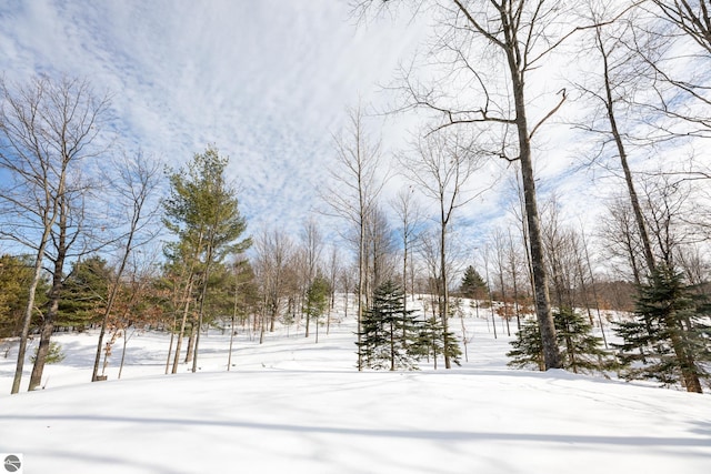 view of yard covered in snow