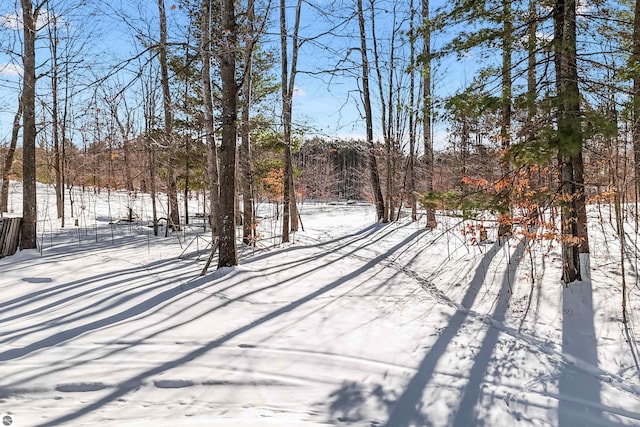 view of yard layered in snow