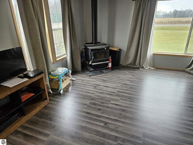 living room featuring a wood stove and dark hardwood / wood-style flooring