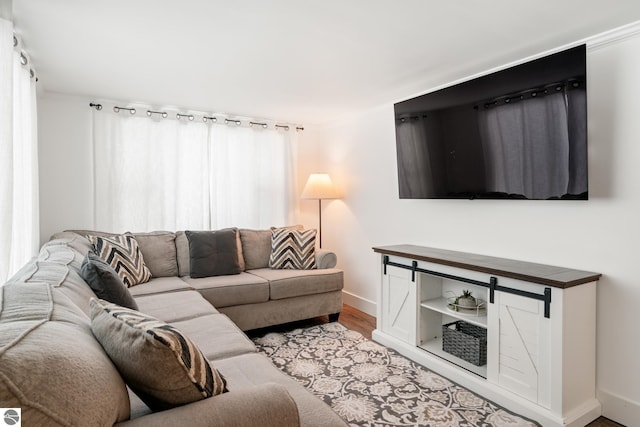 living room featuring light hardwood / wood-style flooring