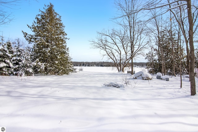 view of yard layered in snow