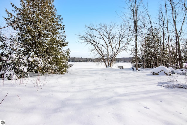 view of snowy yard