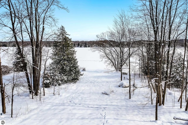 view of yard covered in snow