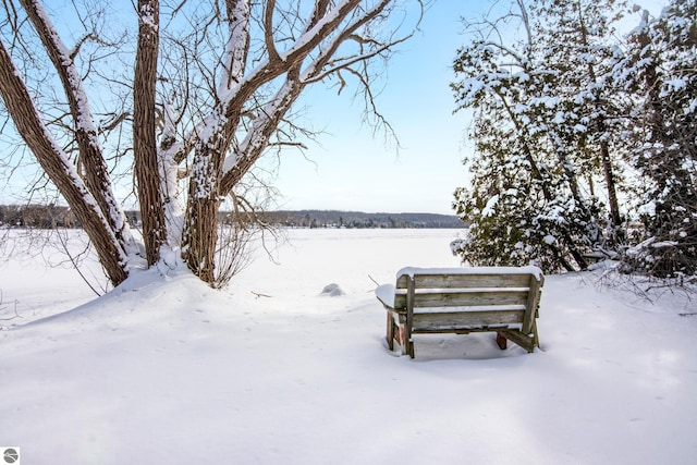 view of yard covered in snow