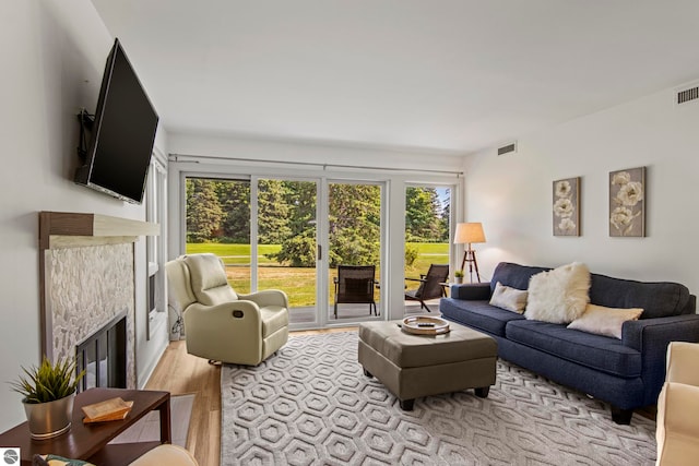 living room with a fireplace and light hardwood / wood-style flooring