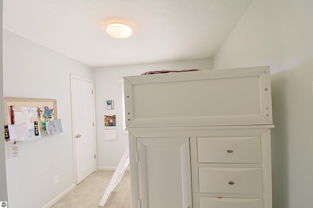 details featuring a textured ceiling and carpet flooring