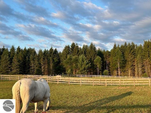 view of yard with a rural view