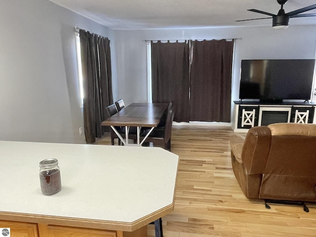 living room featuring wood-type flooring and ceiling fan