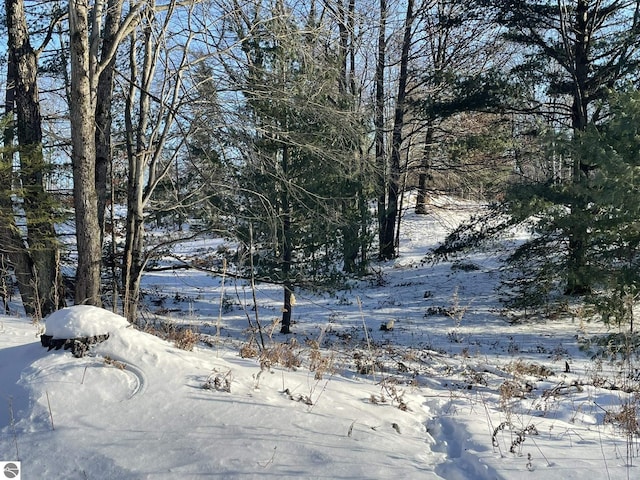 view of snowy view