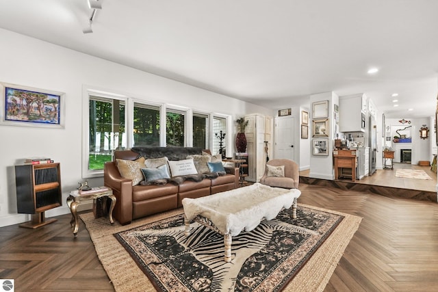 living room featuring dark parquet flooring