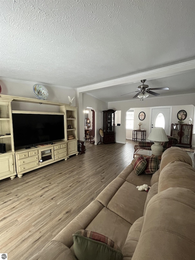 living room featuring hardwood / wood-style floors, a textured ceiling, and ceiling fan