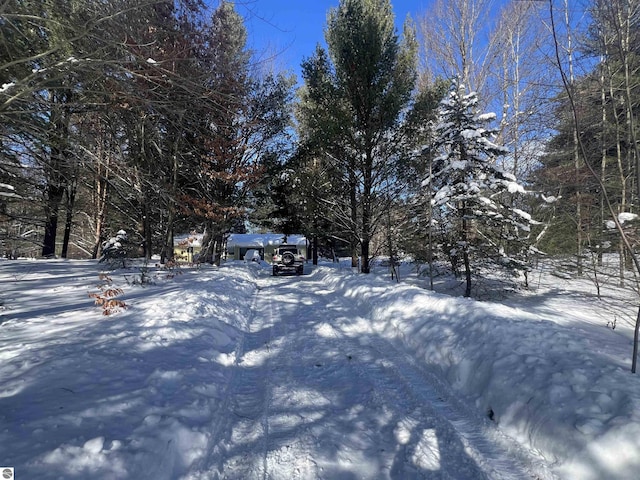 view of snowy yard