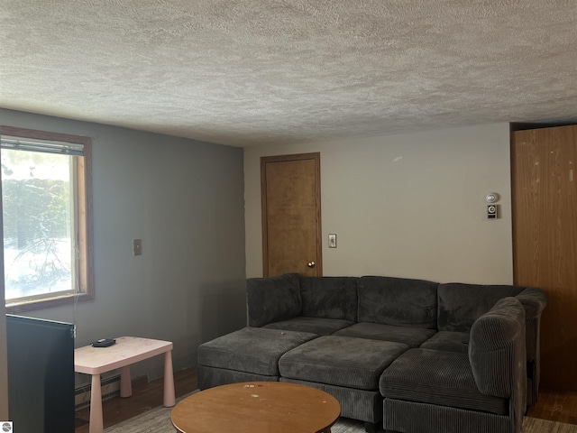 living room with a textured ceiling