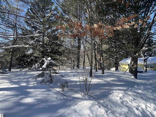 view of yard covered in snow