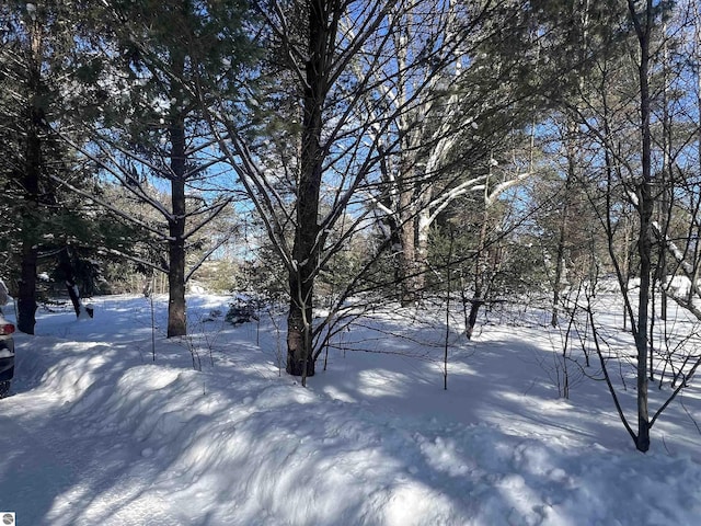 view of yard covered in snow