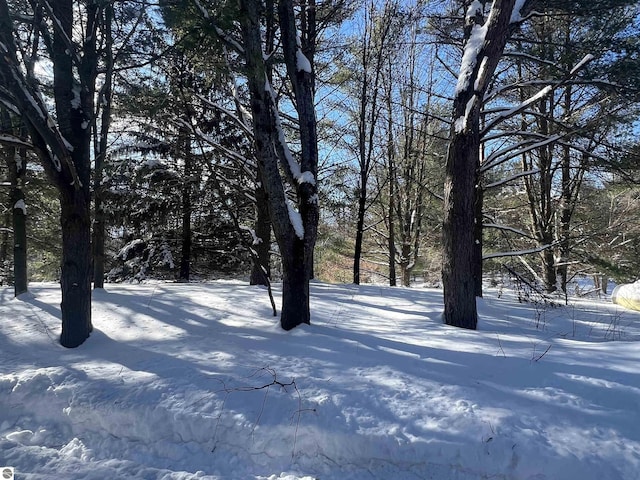 view of yard layered in snow