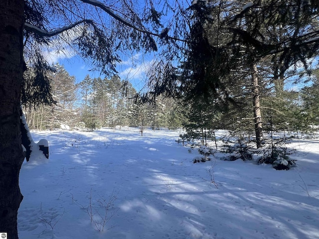 view of yard covered in snow