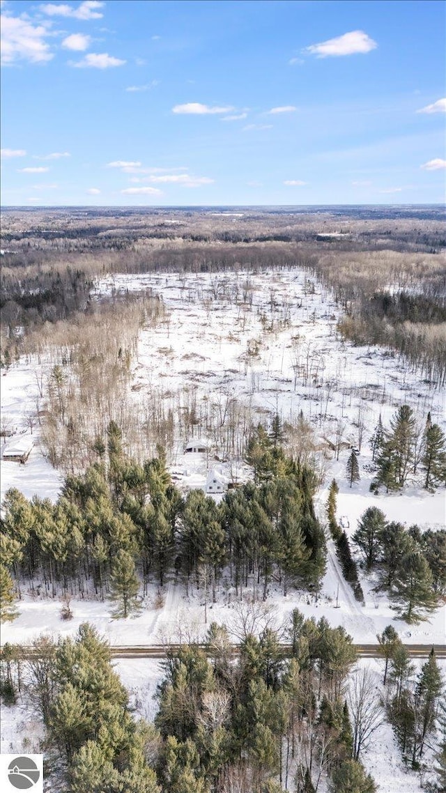 view of snowy aerial view