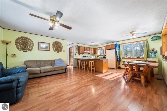 living room featuring ceiling fan, light hardwood / wood-style flooring, and a textured ceiling