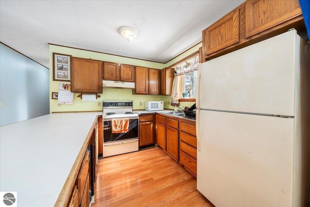 kitchen with light wood-type flooring, sink, a textured ceiling, and white appliances