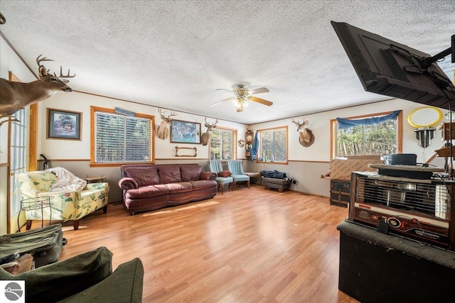 living room featuring ceiling fan, light hardwood / wood-style floors, and a textured ceiling