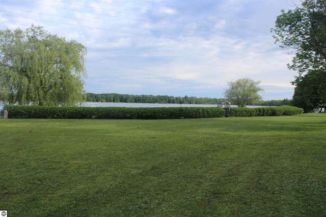 view of yard with a water view