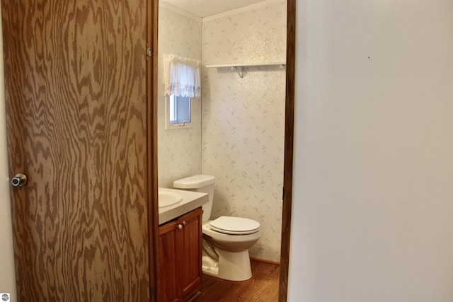 bathroom with vanity, toilet, and wood-type flooring