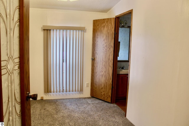 interior space with carpet floors, sink, and a textured ceiling