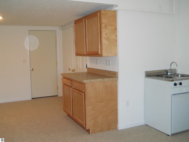 kitchen featuring sink and light carpet