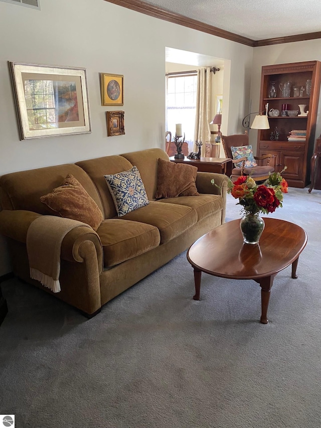 carpeted living room with ornamental molding and a textured ceiling