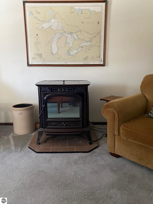 interior details featuring carpet and a wood stove