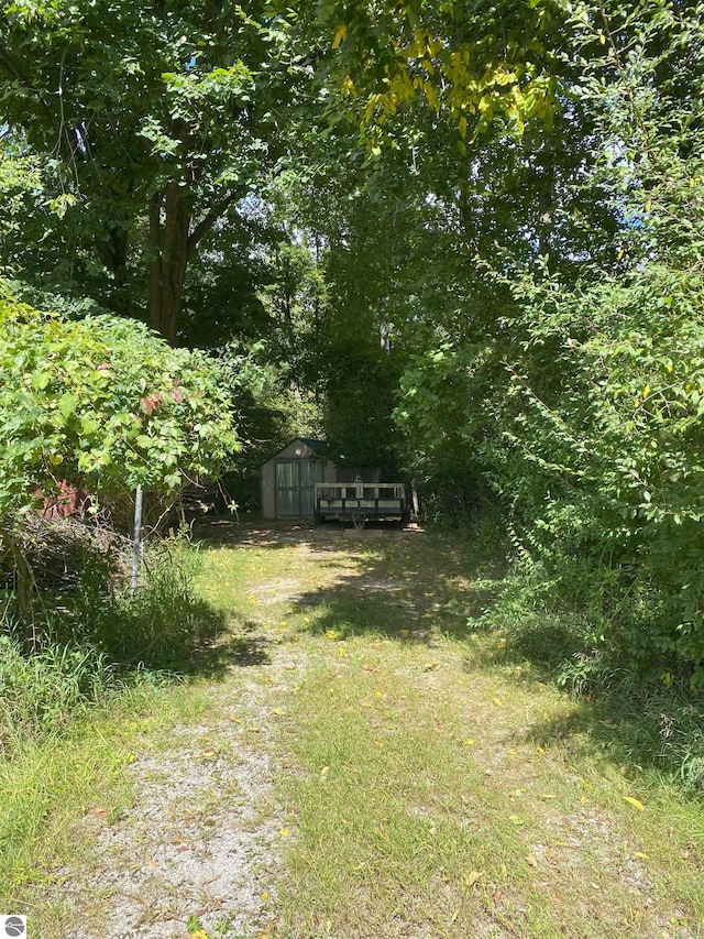 view of yard with a storage shed