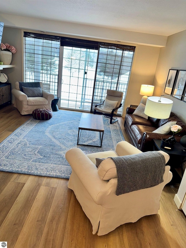 living room featuring light hardwood / wood-style flooring